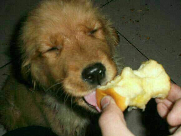 男友的表情包都是哪来的为什么要找胖的男生当男朋友