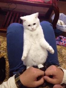 男生说女生好玩想逗她她问我是她重要还是工作重要