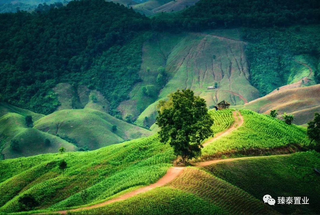 doi是啥感觉,大腿粗壮反而有好处