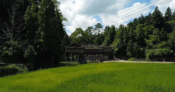 古韵优雅的女孩名字求帮忙起一个古风古韵的团队名字