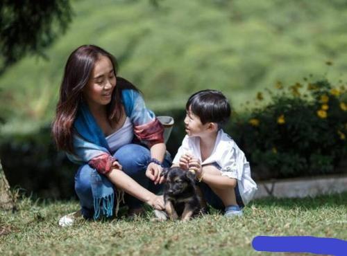 为什么现在好多人都喜欢男孩为什么很多人喜欢小鲜肉明星