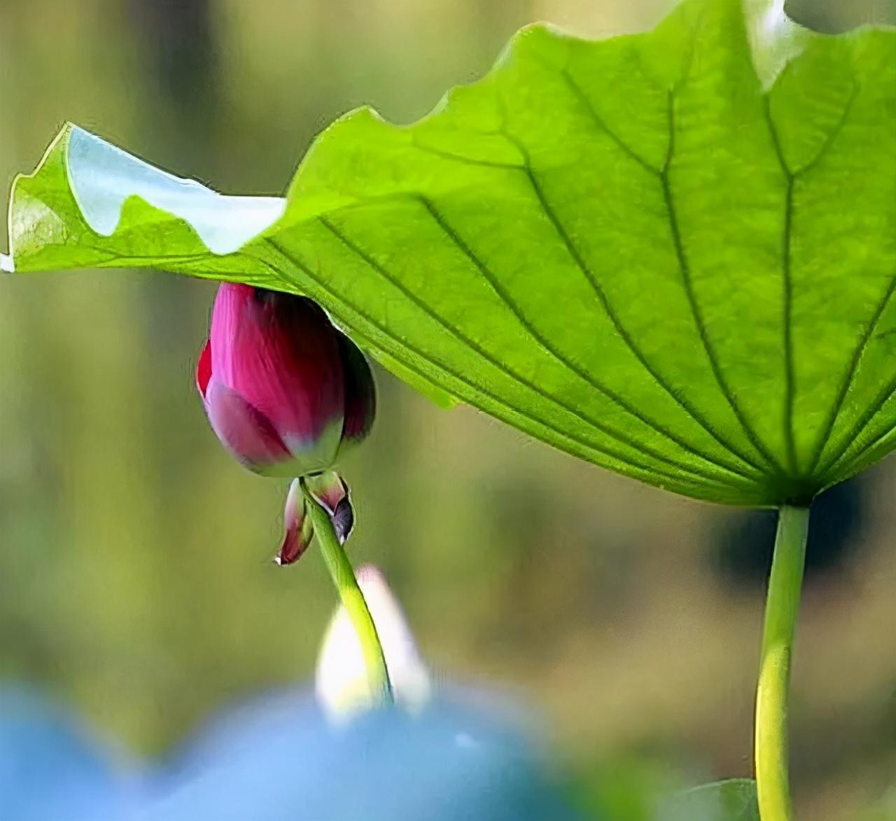 一个男人觉得你看不起他的表现怎样可以判定一个人在不在乎你