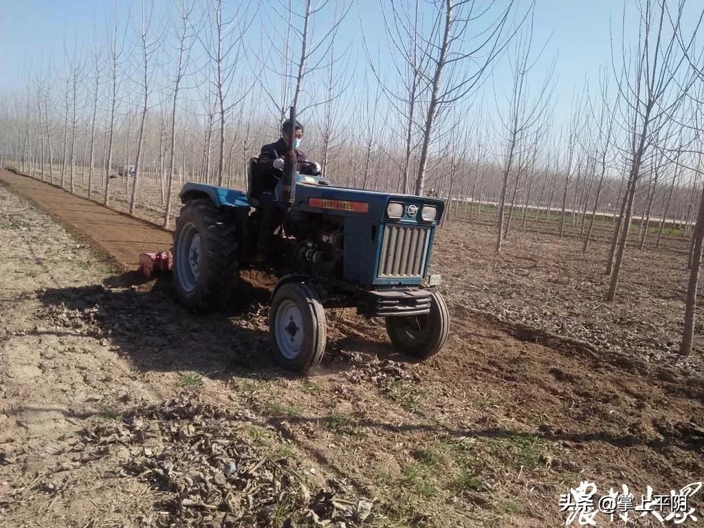 怎样关心男朋友让他暖心,收到男朋友暖心短信该怎么回