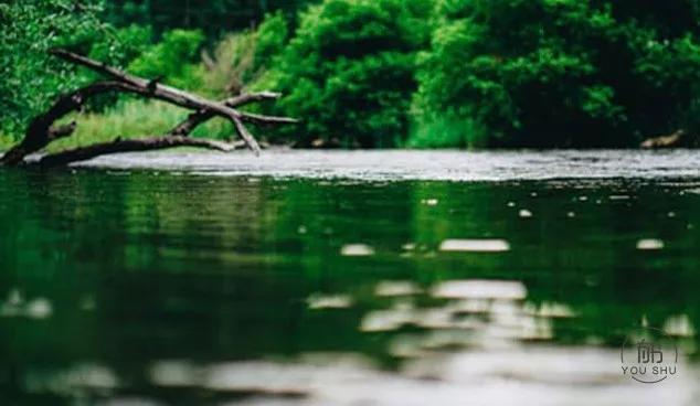 男人这一辈子喜欢的两件事,去丈母娘家发生最尴尬的事是什么