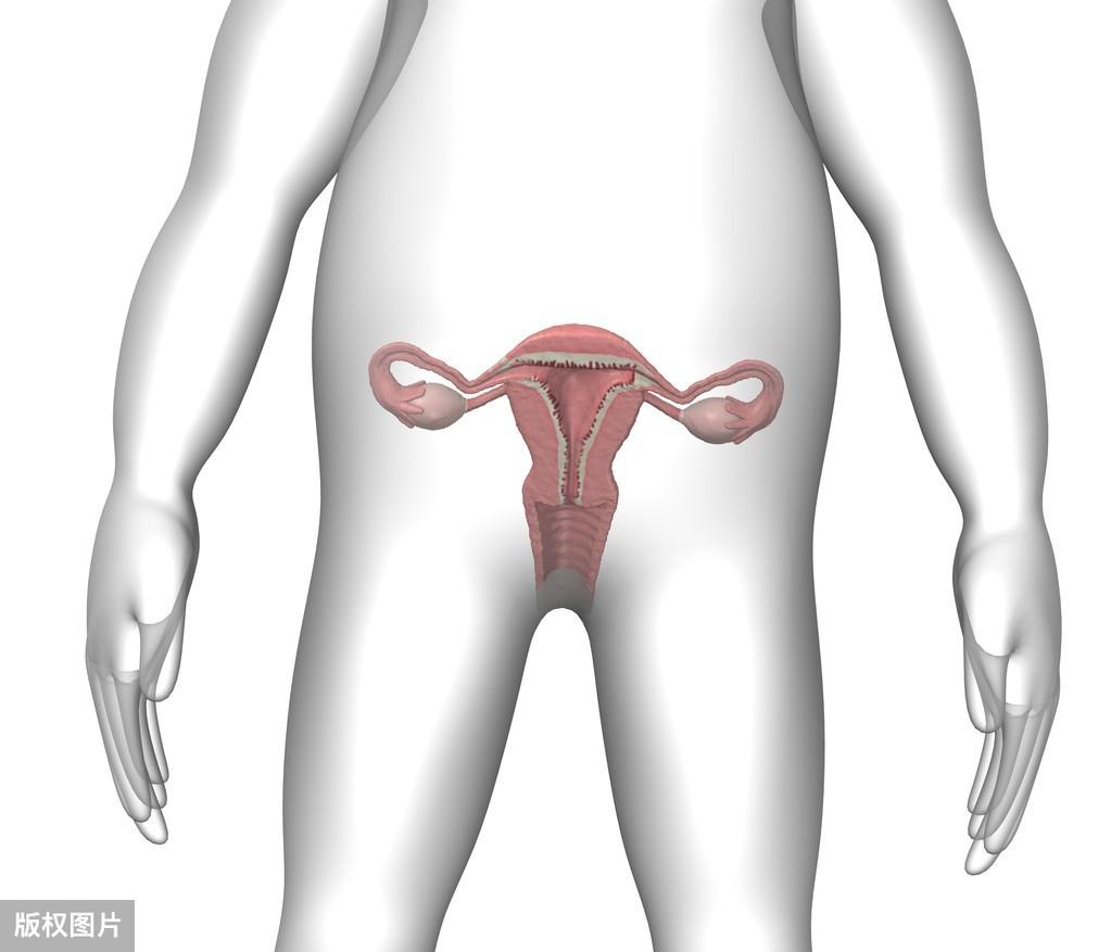 紧缩手术是怎么做的,怎样正确进行提运动