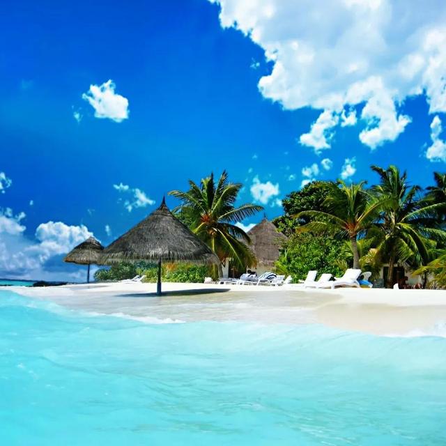 适合微信头像的图片,你觉得好看或者好玩的微信头像