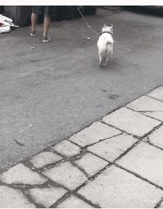 怎么和一个男生混熟,三十好几的人了还不懂如何与人打交道应该怎么办