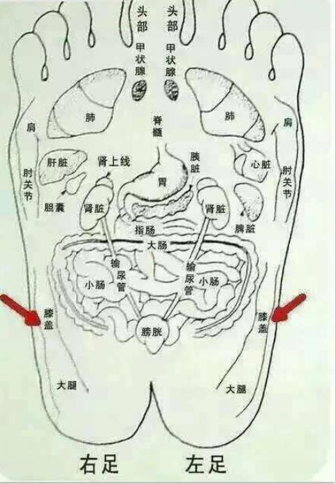 骨骼闭合怎么长高,有没有骨骼线接近闭合长高的