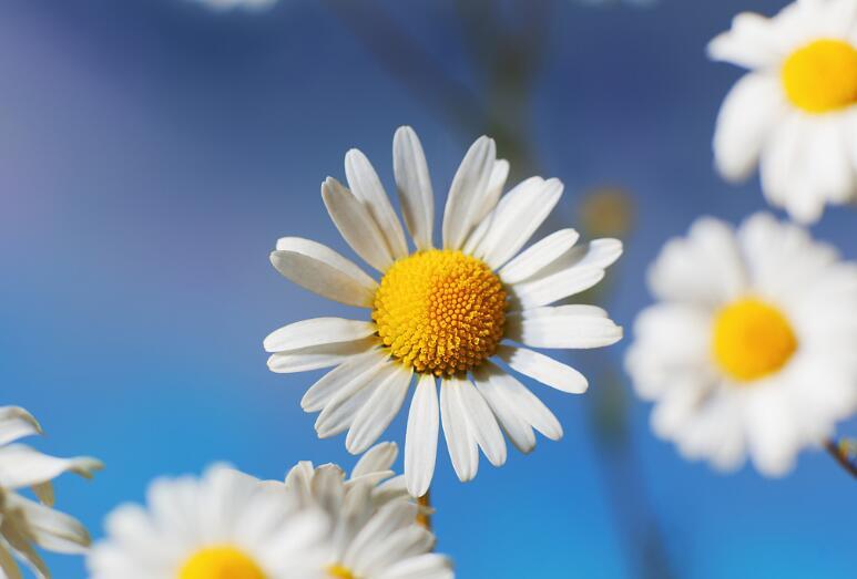 水瓶男不爱你了还会和你在一起吗,但他不知道为什么会隔一段时间就会找我问我的近况