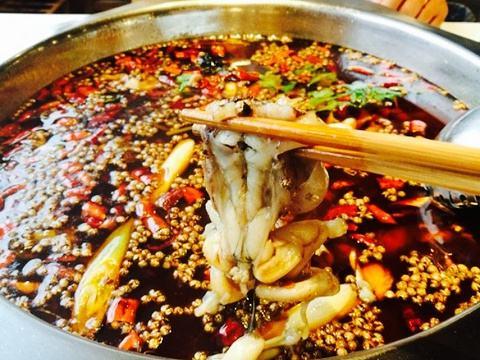 现在有哪些培训学校网育网培训学校怎么样