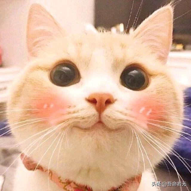 跨境电商货源采购平台有哪些,跨境电商主要做什么