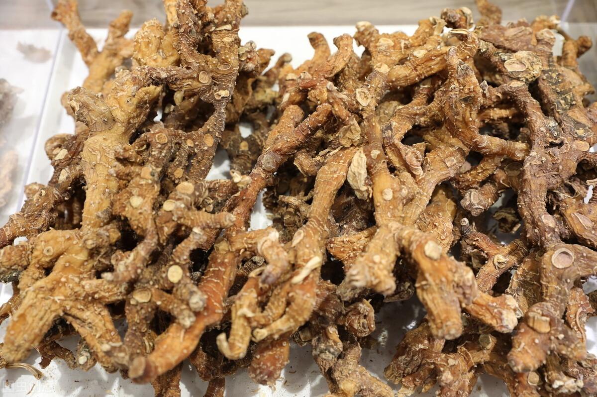 黄精药材有什么功效黄精的功效与作用