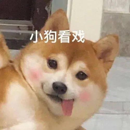 聊天怎么聊出感情不知道怎么和女朋友聊天