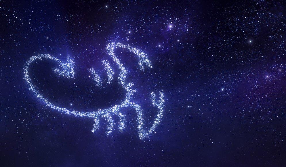 怎么能够抓住一个男人的心你觉得一个女人要如何才能走近男人的内心呢