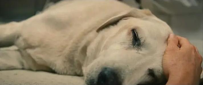 句句能暖心的男人感觉健壮更受女孩喜欢