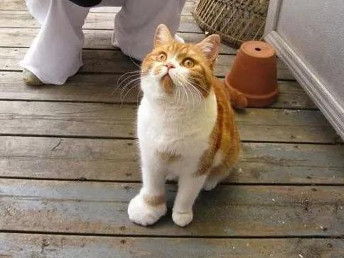 哪家整容好,哪个明星让你一眼看到就觉得整容了