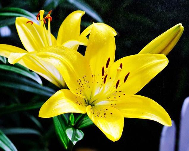 我喜欢他吗 心理测试学生,一些成功者为什么不喜欢心理测试