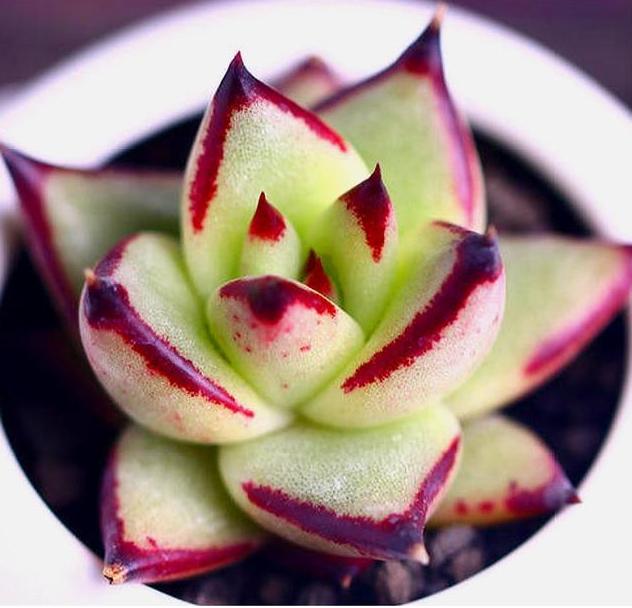 男生最喜欢的东西10块钱以内一万元左右的二手迷你两厢车有哪些推荐