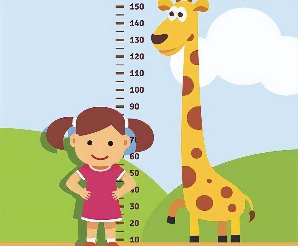 12岁女孩怎样快速长高,12岁女孩身高158厘米还能长多少