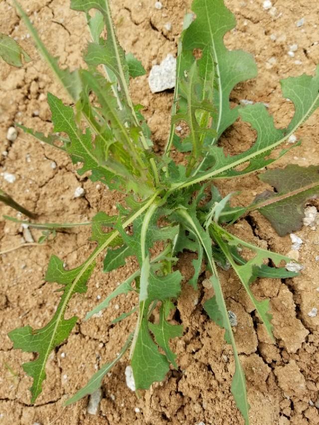 男人为什么不叫女人名字,男生喊女生宝贝什么意思