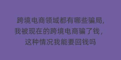 跨境电商领域都有哪些骗局,我被现在的跨境电商骗了钱，这种情况我能要回钱吗
