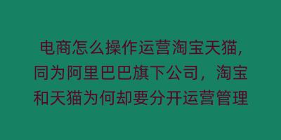 电商怎么操作运营淘宝天猫,同为阿里巴巴旗下公司，淘宝和天猫为何却要分开运营管理