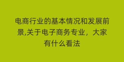 电商行业的基本情况和发展前景,关于电子商务专业，大家有什么看法