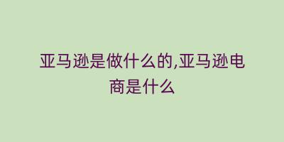 亚马逊是做什么的,亚马逊电商是什么