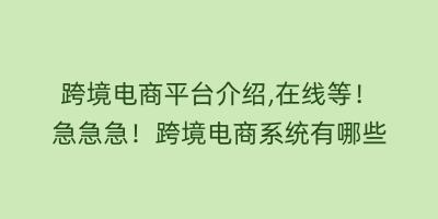 跨境电商平台介绍,在线等！急急急！跨境电商系统有哪些