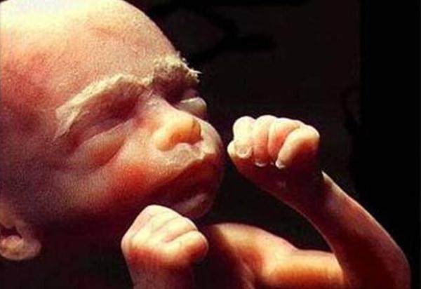 做到一半就软了是怎么回事百度不像以前变质的那种鸡蛋