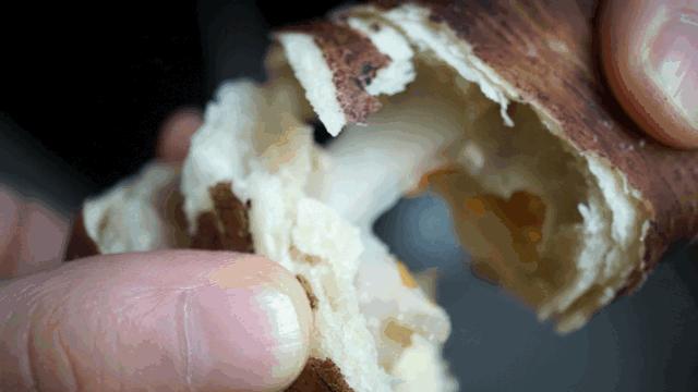 知乎上的回答是真的吗一次大概有1万左右可靠吗