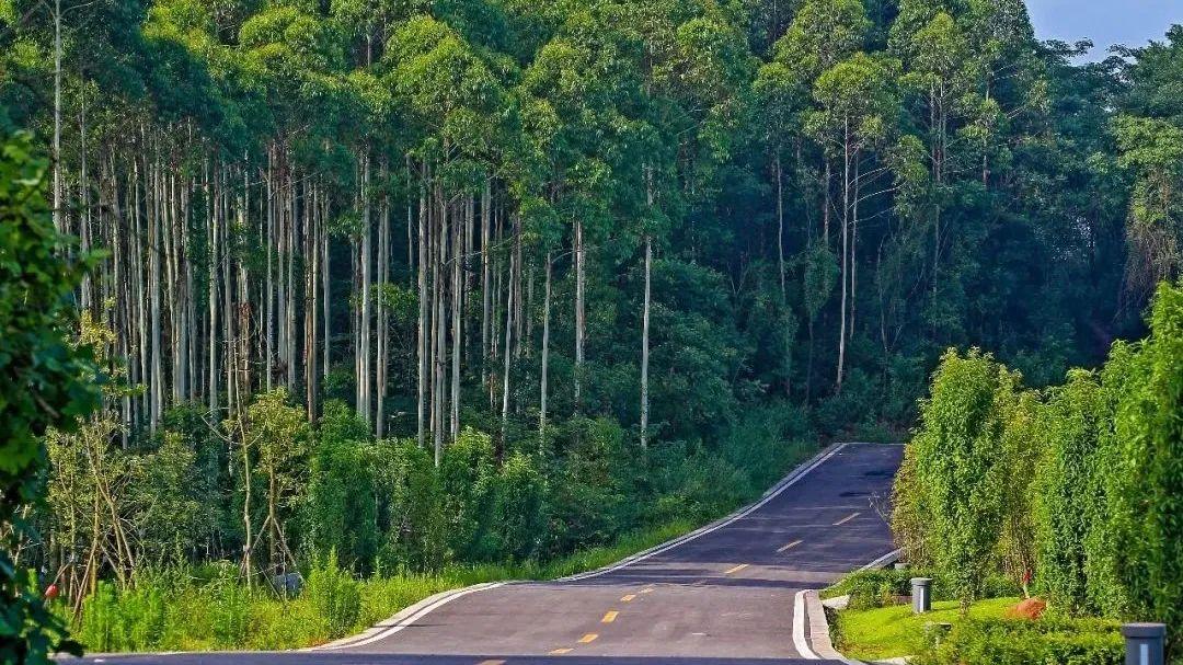 喜欢扎堆在女人堆的男人为什么有的人喜欢乌克兰美女