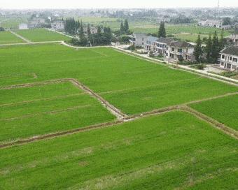 怎样才能变高怎么样才能越来越有钱