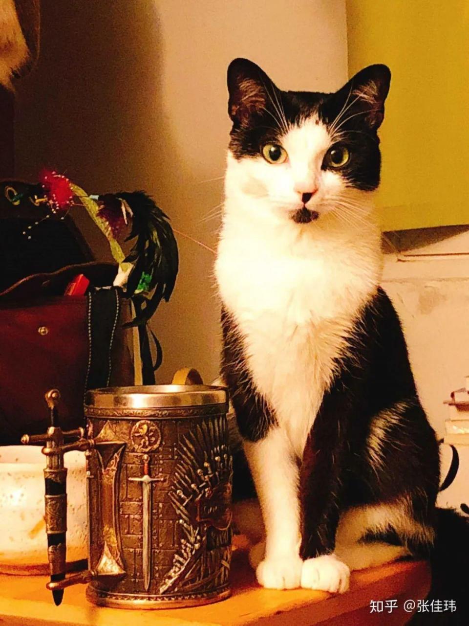 女生喜欢男生的暗示知乎有哪些幽默的开场白可以聊出感觉来呢