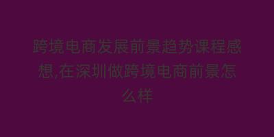 跨境电商发展前景趋势课程感想,在深圳做跨境电商前景怎么样