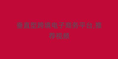 垂直型跨境电子商务平台,推荐视频