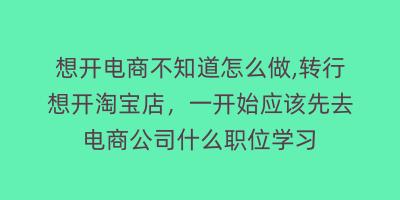 想开电商不知道怎么做,转行想开淘宝店，一开始应该先去电商公司什么职位学习