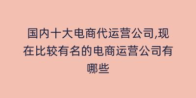 国内十大电商代运营公司,现在比较有名的电商运营公司有哪些
