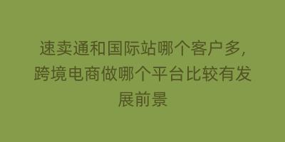 速卖通和国际站哪个客户多,跨境电商做哪个平台比较有发展前景