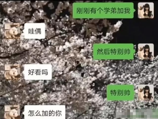 给男朋友的专属备注男人最好的备注