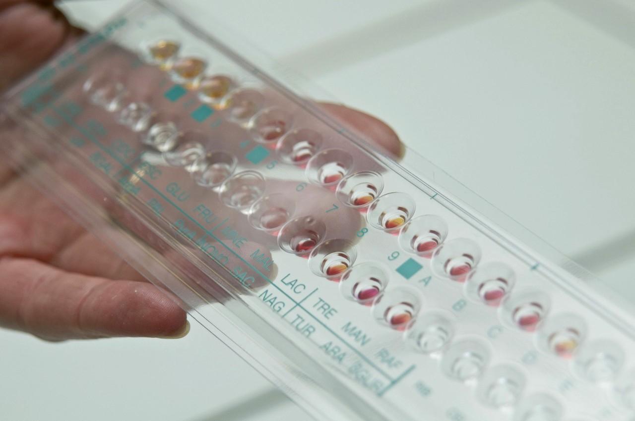 亲子鉴定要多少钱的费用亲子鉴定的费用是怎么收取的