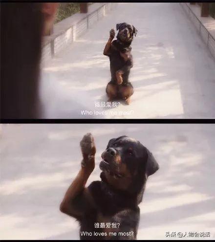 怎么治愈一个缺爱的男孩子呢缺爱的人该怎么治愈