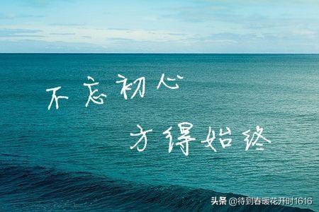 优秀员工心得报告,工作的感受来自哪里