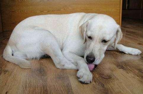 男生到处跟别人说我喜欢他,男朋友从不让我碰他手机