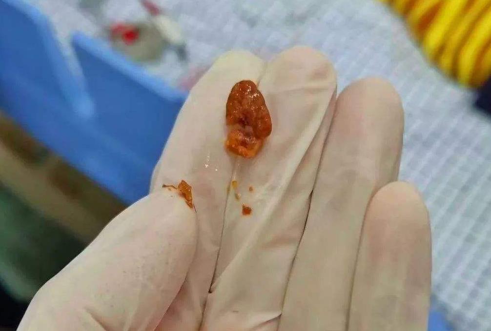 男生会随便逗一个女生吗也不愿意去主动追求女孩子