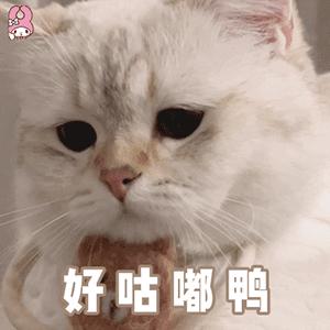 恋爱表情包男生用 可爱收到男友的红包