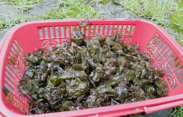 怎么知道自己会长多高女孩子通常会在什么情况下会觉得自己长得很漂亮