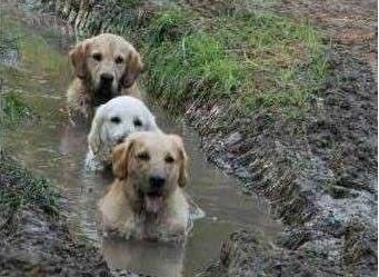 怎样让你喜欢的人也喜欢你,你喜欢的人不喜欢你