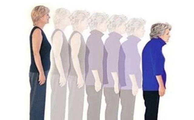 为什么身高越长越矮人类身高会往回涨吗