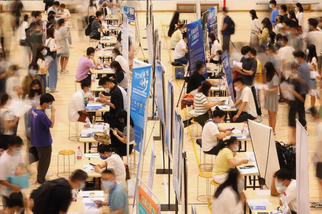 知乎称呼对方叫啥呢姜鹿司砚小说叫什么